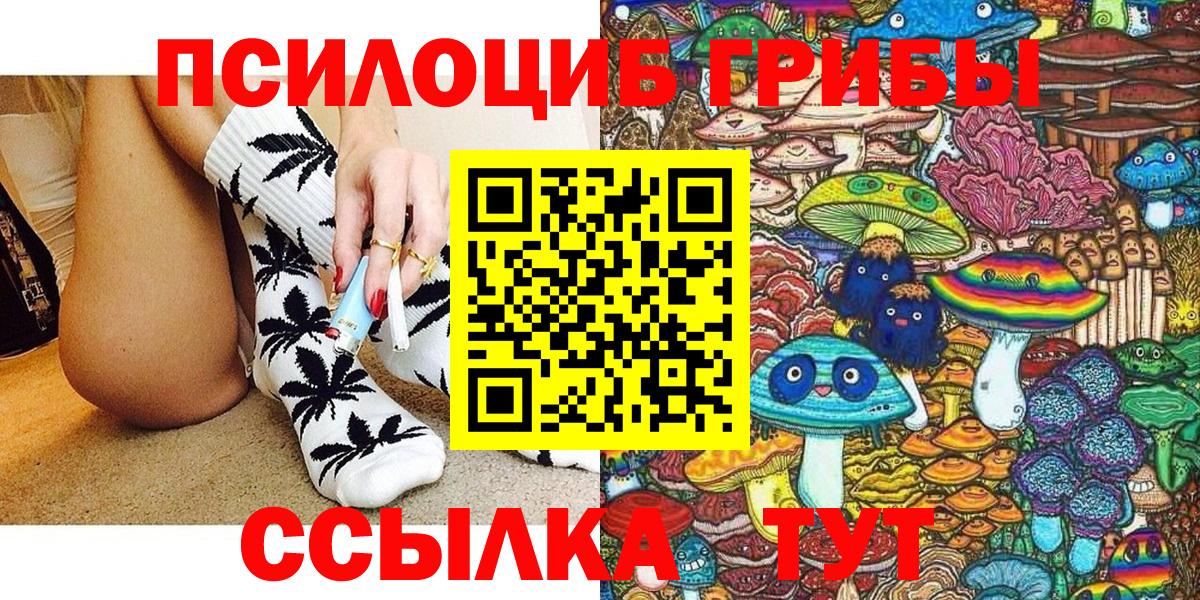 Псилоцибиновые грибы мицелий Тутаев