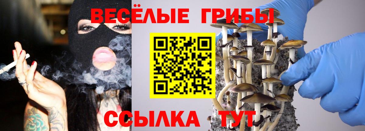 Псилоцибиновые грибы Cubensis  Вход с VPN  наркотики  Тутаев 